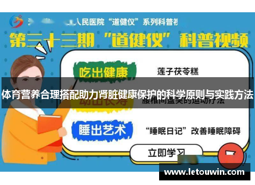 体育营养合理搭配助力肾脏健康保护的科学原则与实践方法