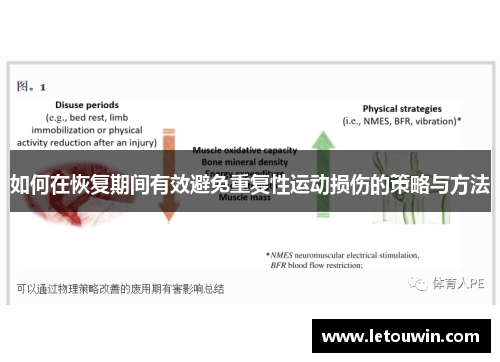 如何在恢复期间有效避免重复性运动损伤的策略与方法
