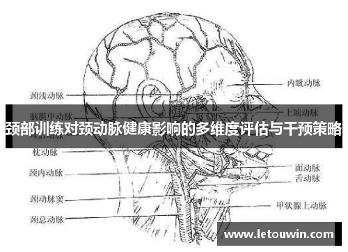颈部训练对颈动脉健康影响的多维度评估与干预策略